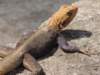 dscn2731_small.jpg