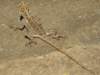dscn2732_small.jpg
