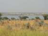 dscn2743_small.jpg