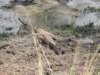 dscn2748_small.jpg