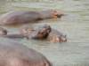 dscn2792_small.jpg