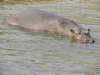 dscn2793_small.jpg