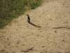 dscn2801_small.jpg