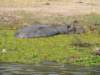dscn2806_small.jpg