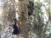 dscn2893_small.jpg