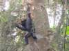 dscn2901_small.jpg
