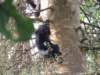 dscn2912_small.jpg