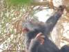 dscn2916_small.jpg