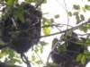 dscn2921_small.jpg
