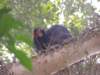 dscn2925_small.jpg