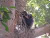 dscn2931_small.jpg