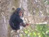 dscn2942_small.jpg