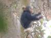 dscn2944_small.jpg