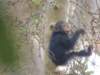 dscn2945_small.jpg