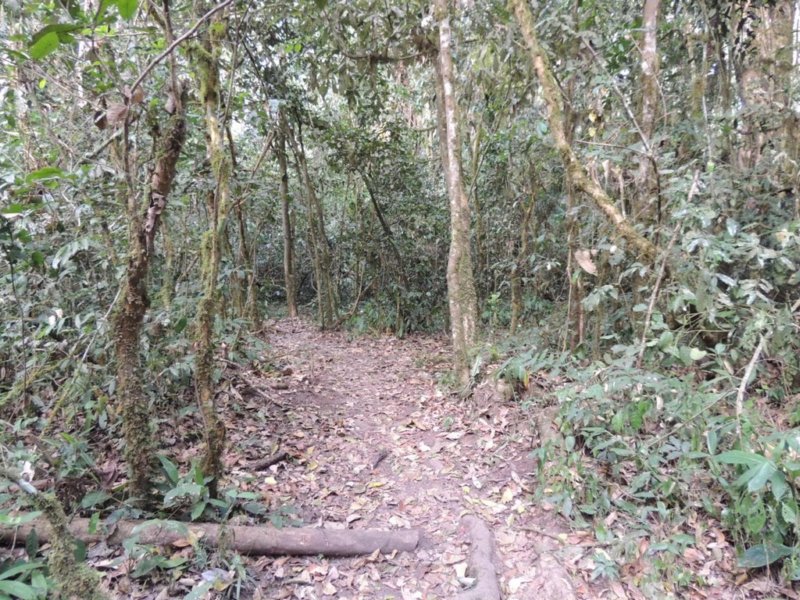dscn2953.jpg