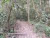 dscn2953_small.jpg