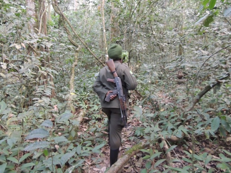 dscn2958.jpg