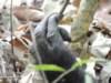 dscn2979_small.jpg
