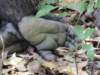 dscn2996_small.jpg
