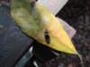 dscn3017_small.jpg