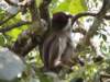 dscn3038_small.jpg