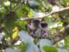 dscn3067_small.jpg