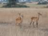 dscn3118_small.jpg