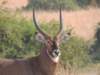 dscn3143_small.jpg
