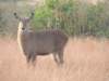dscn3146_small.jpg