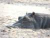 dscn3153_small.jpg