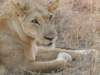 dscn3172_small.jpg
