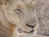 dscn3173_small.jpg