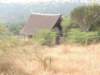 dscn3194_small.jpg