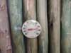 dscn3206_small.jpg