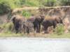 dscn3259_small.jpg