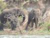 dscn3264_small.jpg