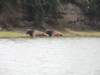 dscn3284_small.jpg