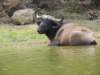 dscn3292_small.jpg