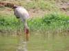 dscn3310_small.jpg