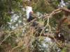 dscn3370_small.jpg