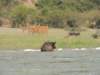 dscn3374_small.jpg