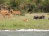 dscn3375_small.jpg