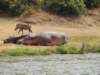 dscn3381_small.jpg