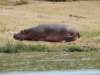 dscn3388_small.jpg