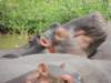 dscn3393_small.jpg