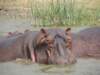 dscn3395_small.jpg