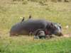 dscn3411_small.jpg