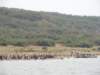 dscn3434_small.jpg