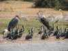 dscn3440_small.jpg