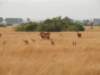 dscn3454_small.jpg